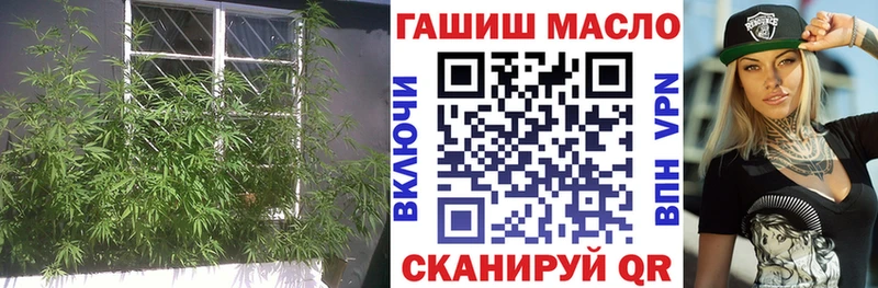 цены   Курск  ТГК вейп с тгк 