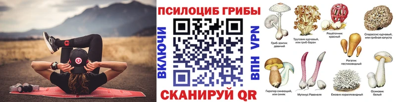 Галлюциногенные грибы мицелий  мега ССЫЛКА  Курск 